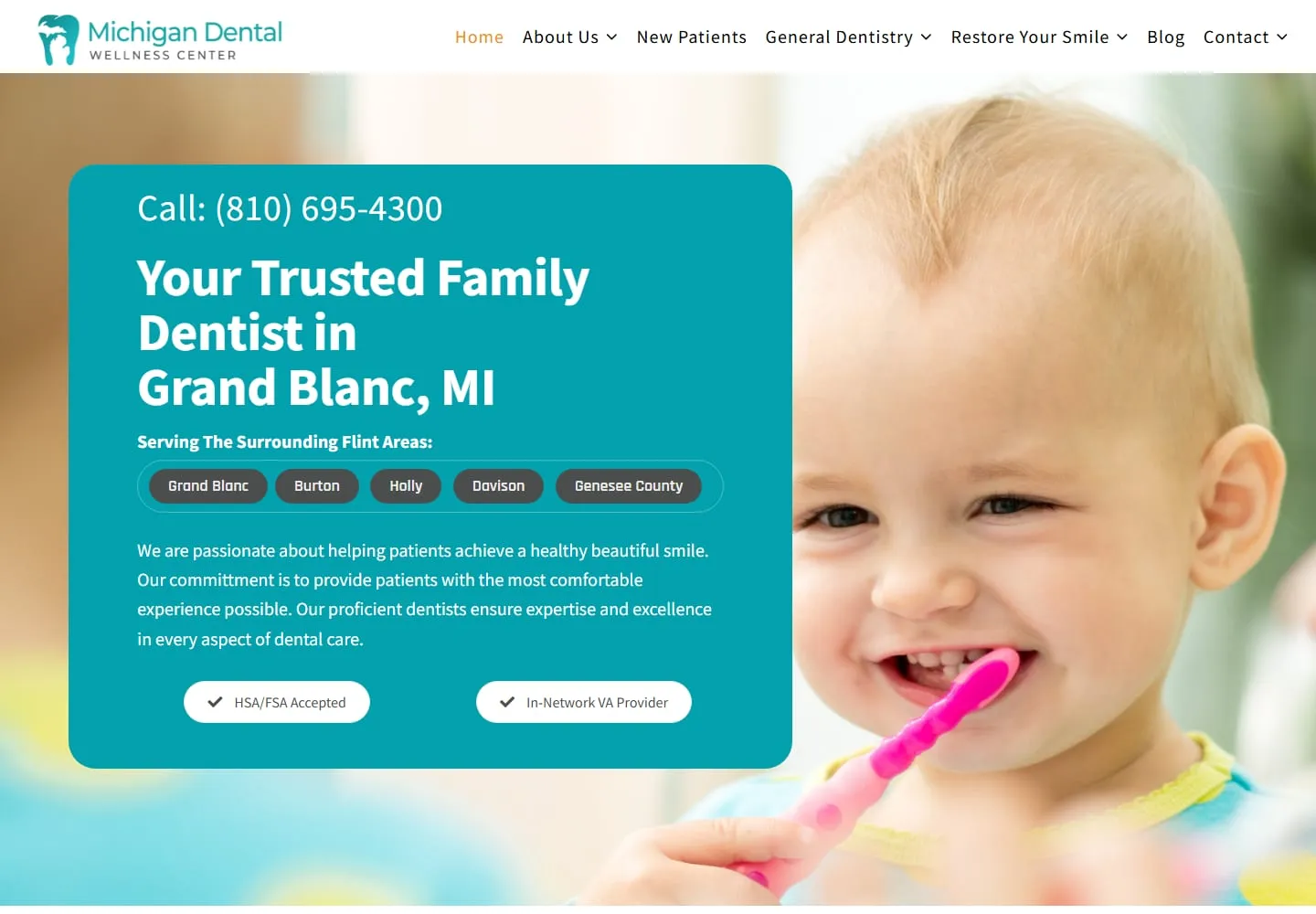 Screenshot of the Michigan Dental Wellness website